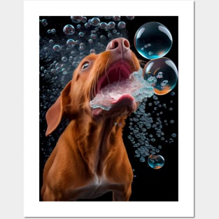 Dog in Water #2 Posters and Art